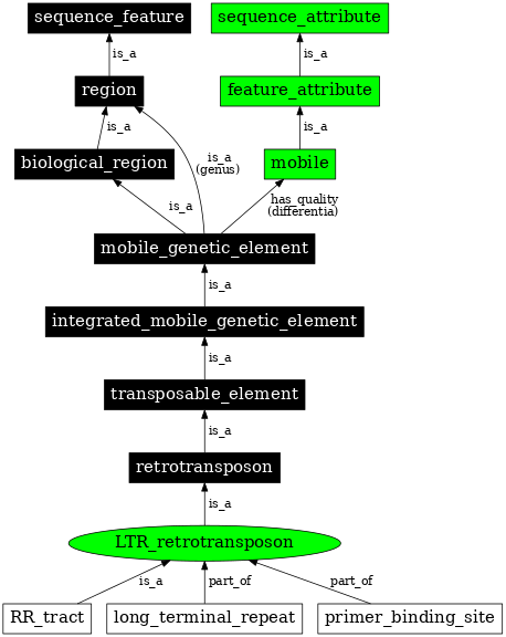 Graph image for SO:0000186