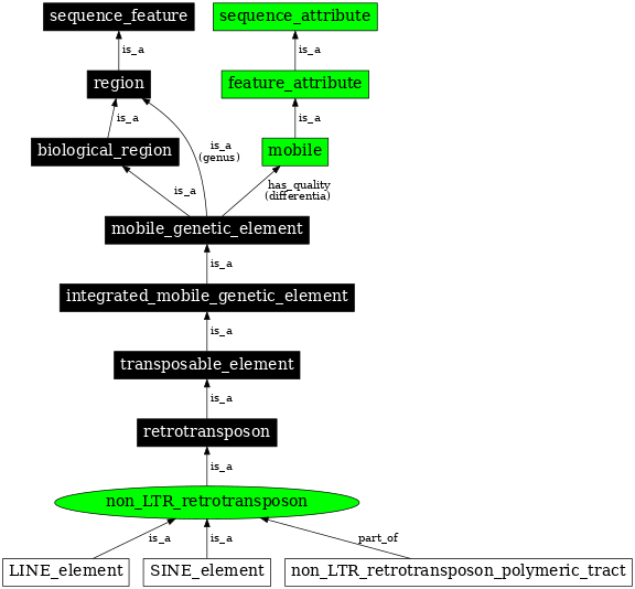 Graph image for SO:0000189