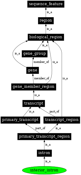 Graph image for SO:0000191