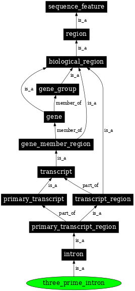 Graph image for SO:0000192