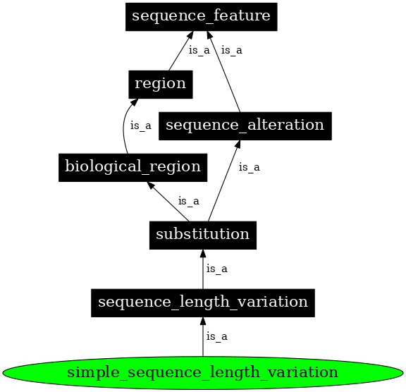 Graph image for SO:0000207