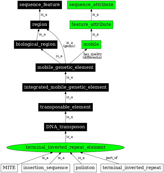 Graph image for SO:0000208