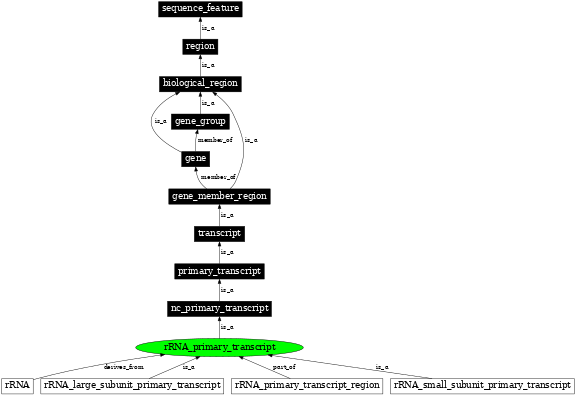 Graph image for SO:0000209