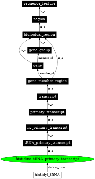 Graph image for SO:0000219