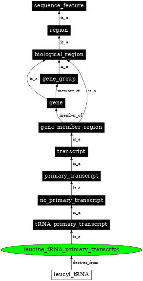 Graph image for SO:0000221