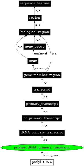 Graph image for SO:0000225