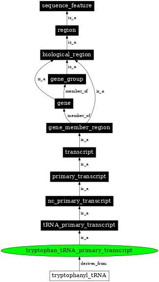 Graph image for SO:0000228