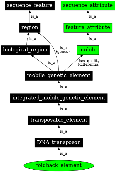 Graph image for SO:0000238