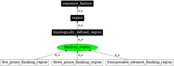 Graph image for SO:0000239