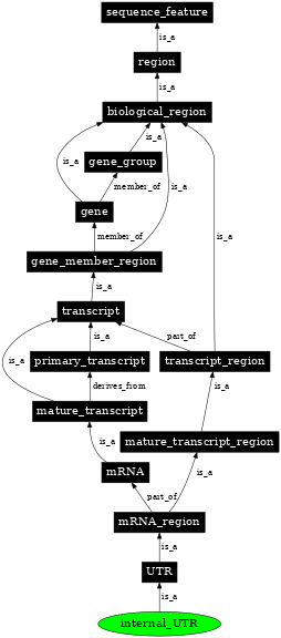 Graph image for SO:0000241