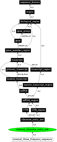 Graph image for SO:0000243