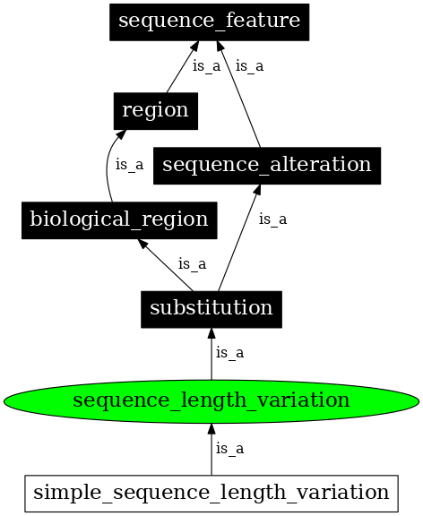 Graph image for SO:0000248