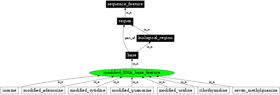 Graph image for SO:0000250