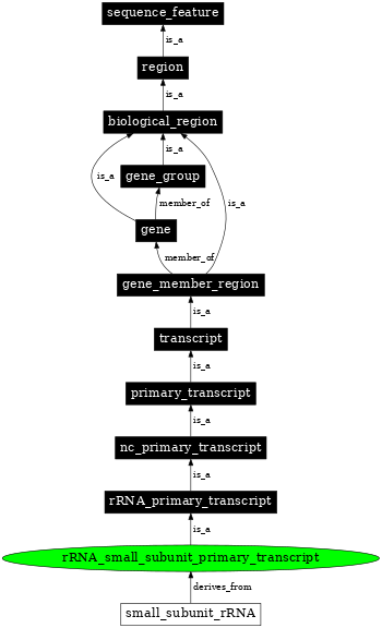 Graph image for SO:0000255