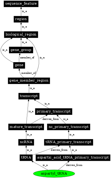 Graph image for SO:0000257