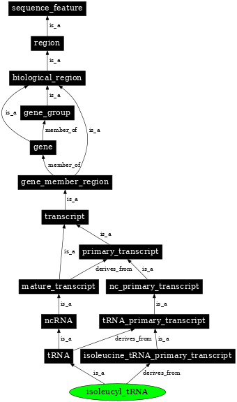 Graph image for SO:0000263