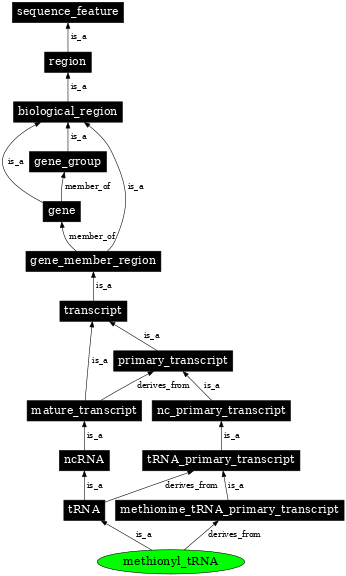 Graph image for SO:0000266