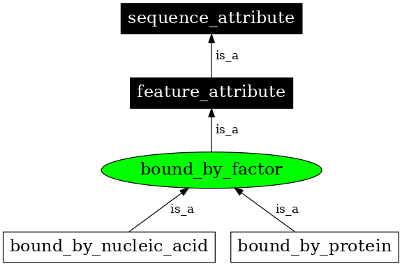 Graph image for SO:0000277