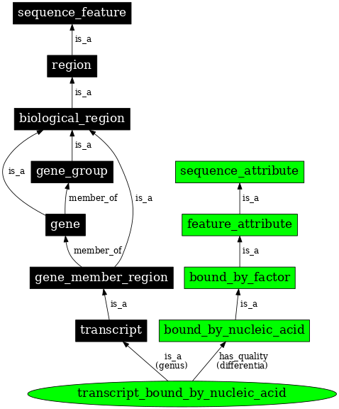 Graph image for SO:0000278