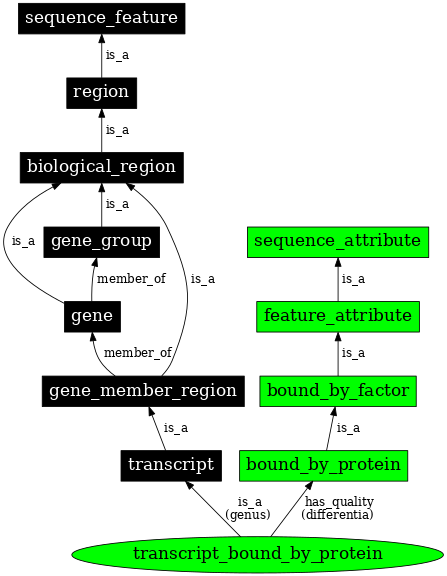 Graph image for SO:0000279