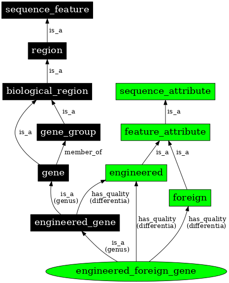 Graph image for SO:0000281