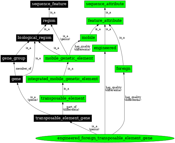 Graph image for SO:0000283