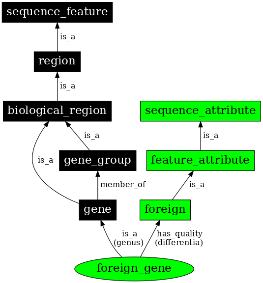 Graph image for SO:0000285