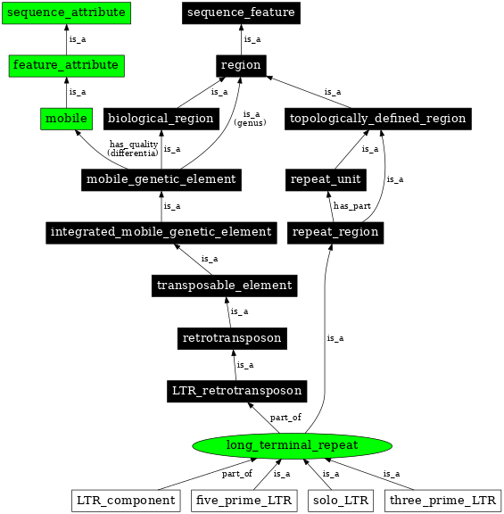 Graph image for SO:0000286