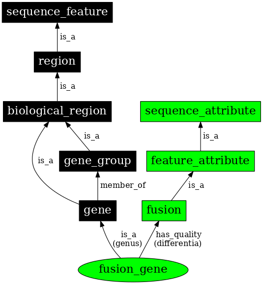 Graph image for SO:0000287