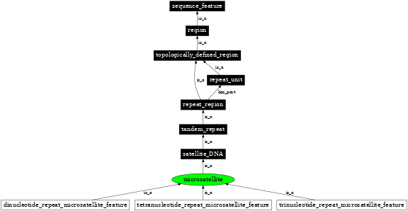 Graph image for SO:0000289