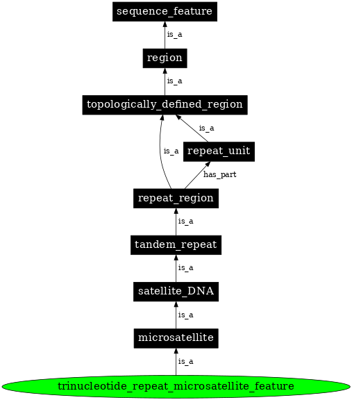 Graph image for SO:0000291