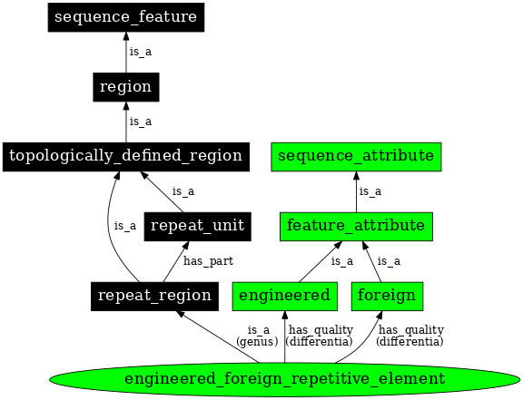 Graph image for SO:0000293