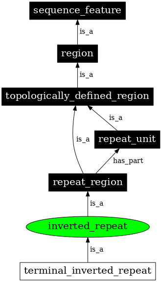 Graph image for SO:0000294