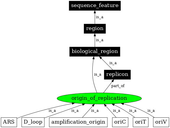 Graph image for SO:0000296