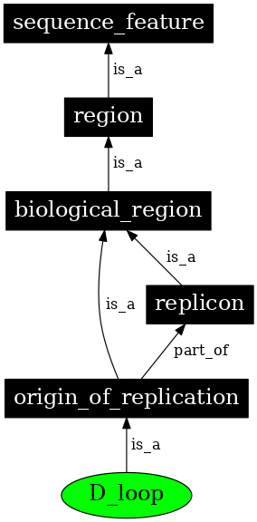 Graph image for SO:0000297