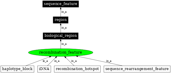 Graph image for SO:0000298