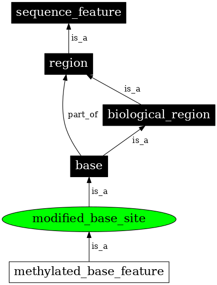 Graph image for SO:0000305