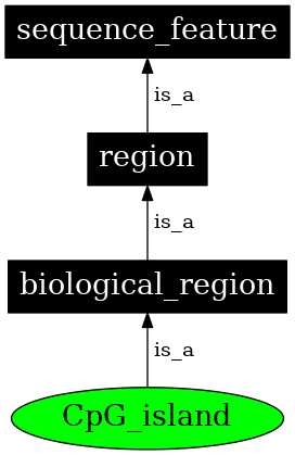 Graph image for SO:0000307