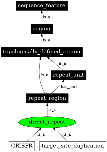 Graph image for SO:0000314