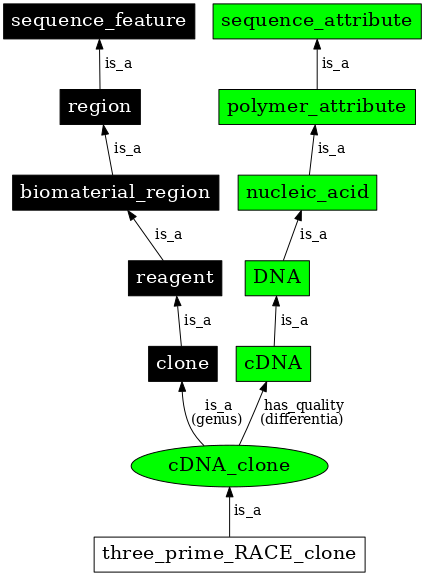 Graph image for SO:0000317