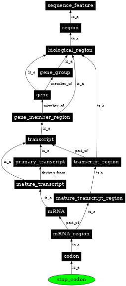 Graph image for SO:0000319