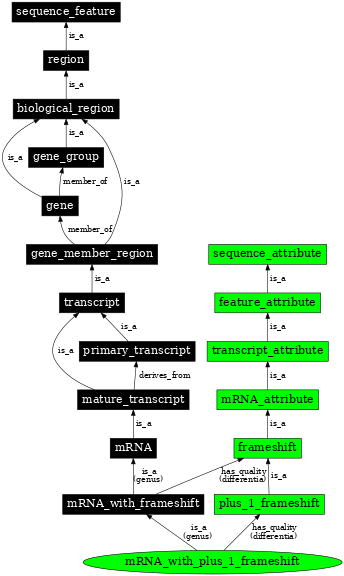 Graph image for SO:0000321