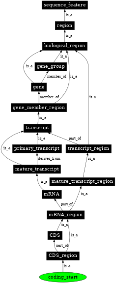 Graph image for SO:0000323