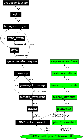 Graph image for SO:0000329