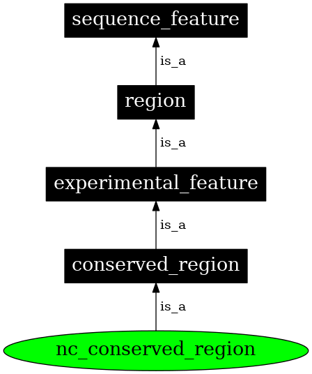 Graph image for SO:0000334