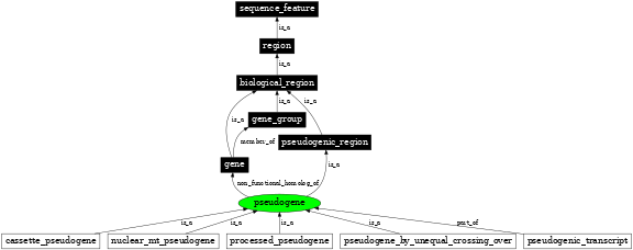 Graph image for SO:0000336