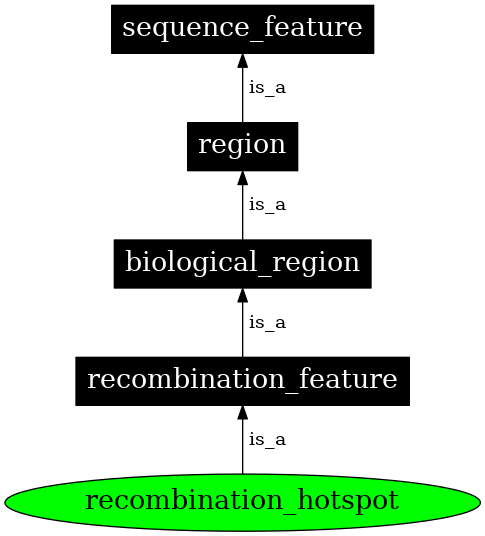 Graph image for SO:0000339