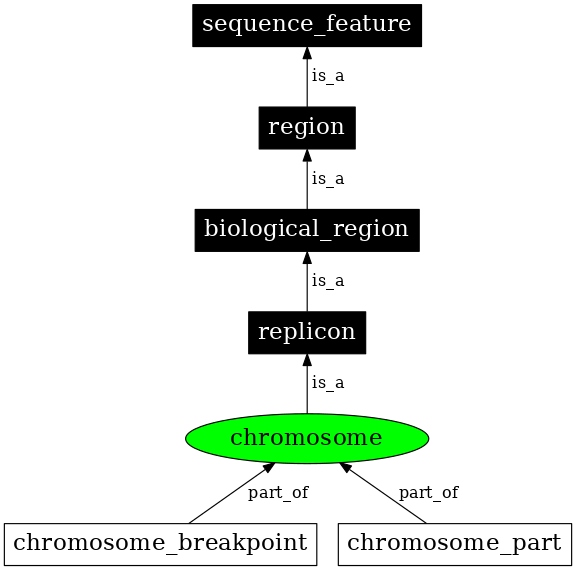 Graph image for SO:0000340