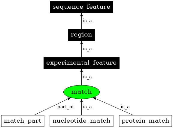 Graph image for SO:0000343