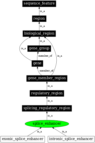 Graph image for SO:0000344